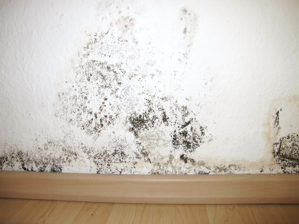 humedad en las paredes de una vivienda