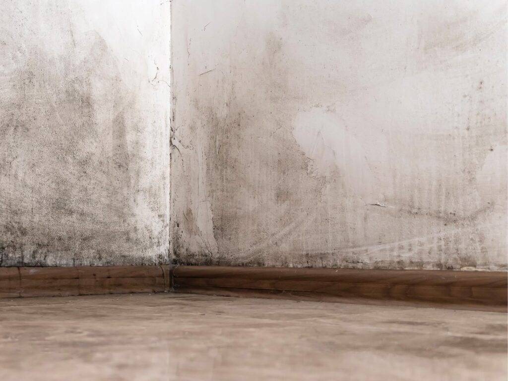 pared fría interior con humedad por condensación