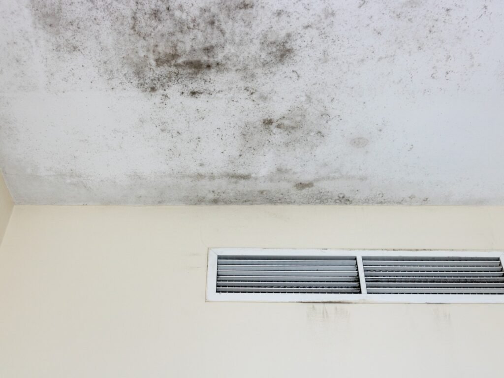 humedad en el techo de una vivienda