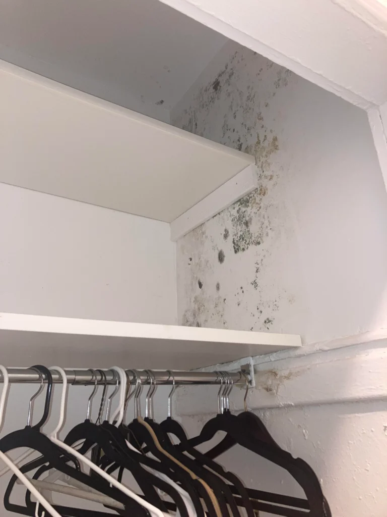 humedad en armarios con ropa afectada