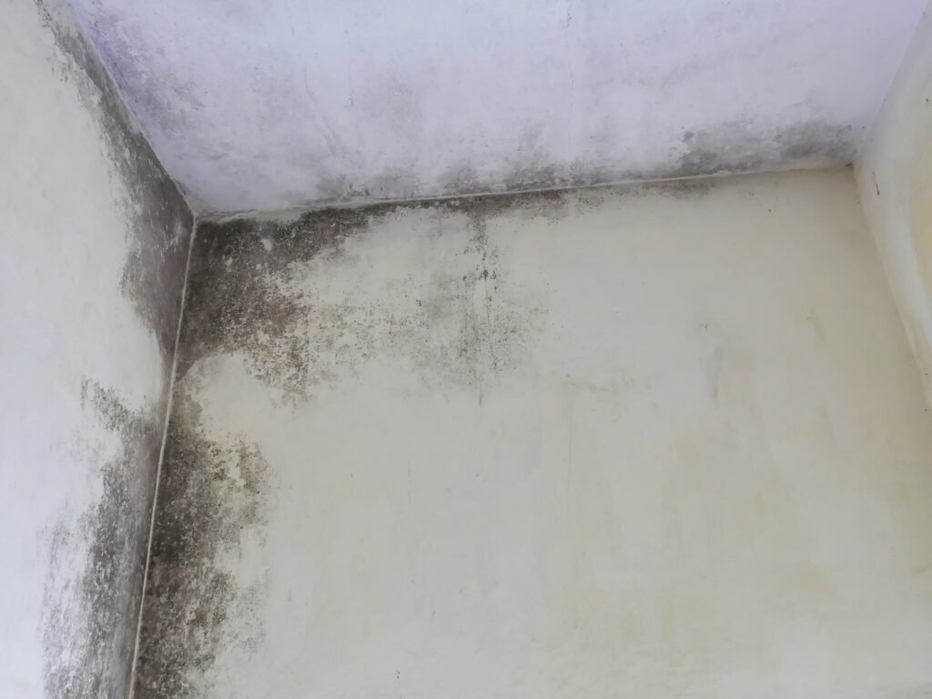 cómo saber si hay humedad en una vivienda