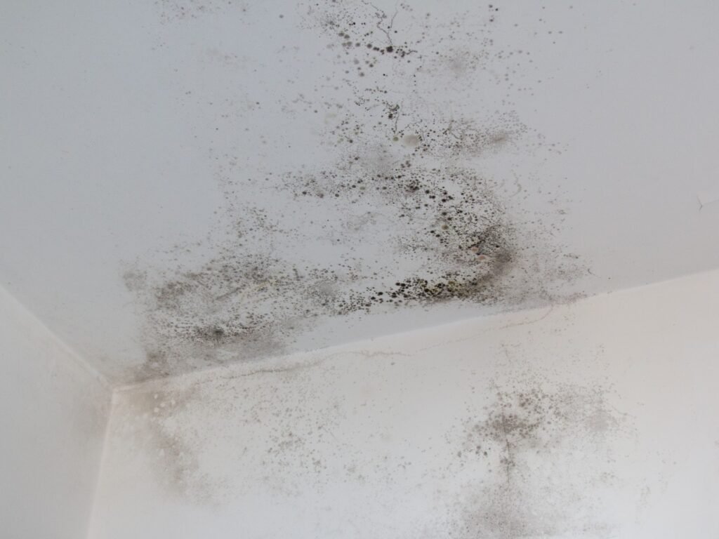 problemas de humedad en casa que requieren deshumidificador