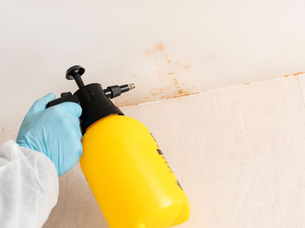 cómo eliminar moho del baño definitivamente