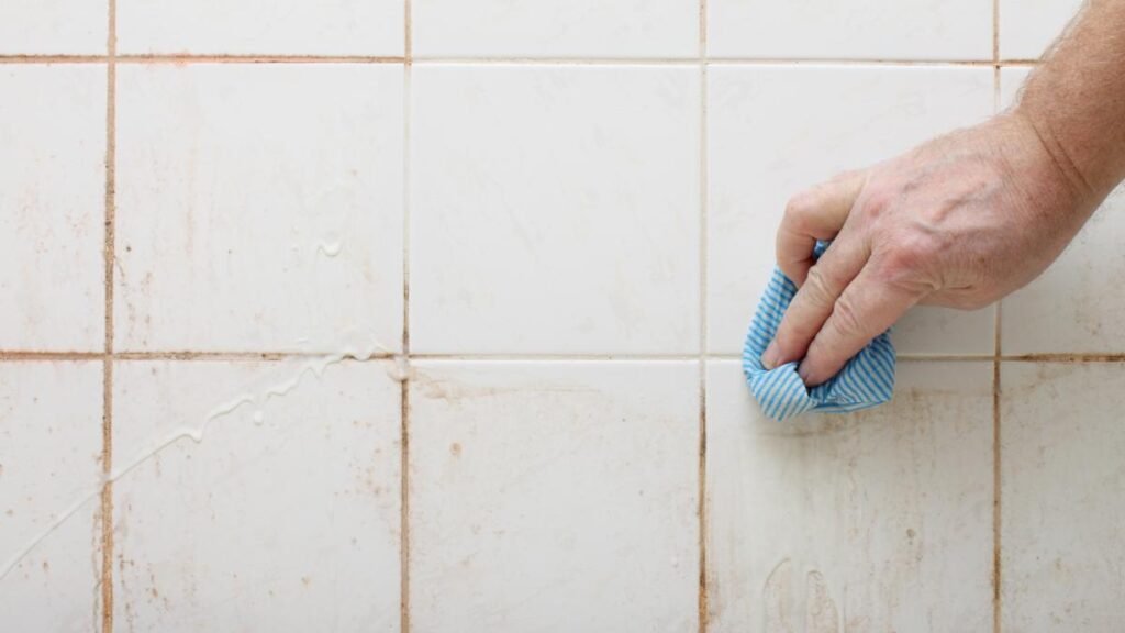 moho en juntas de azulejos del baño