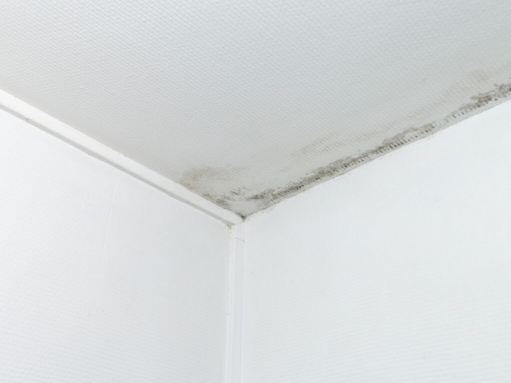 mancha de humedad en techo de una vivienda
