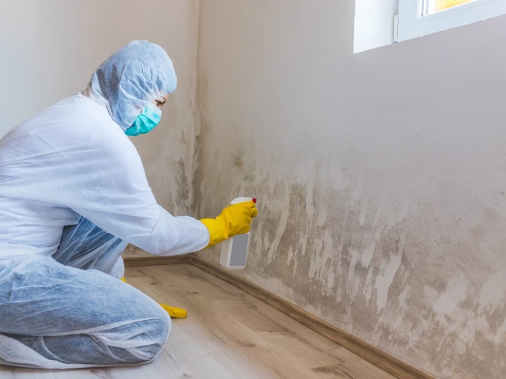 persona limpiando moho de la pared con producto antimoho