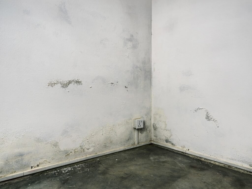 manchas de moho en pared interior