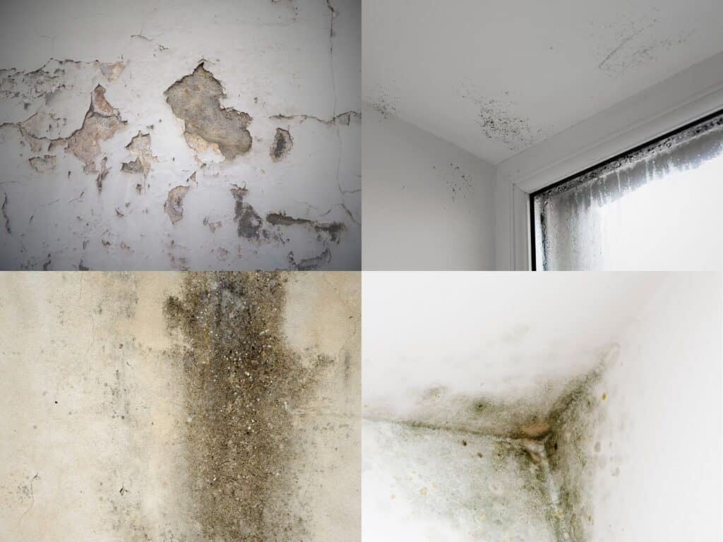 diferentes tipos de humedad en paredes de una casa