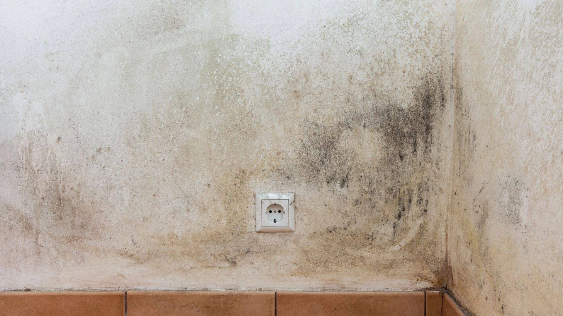 cómo identificar una filtración de agua en pared interior